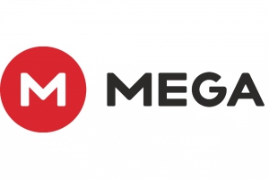 mega privacy company