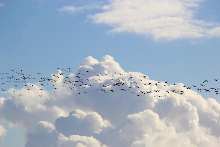 How to avoid common cloud migration challenges