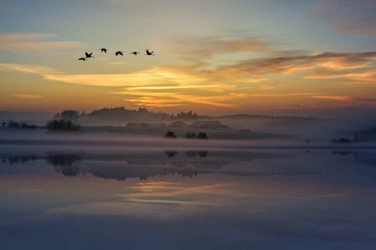 Cloud migration could cut CO2 emissions by 60 million tonnes a year