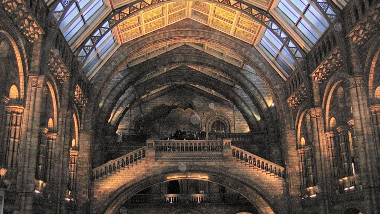 Thoughtworks & AWS to help Natural History Museum build a ‘Data Ecosystem’