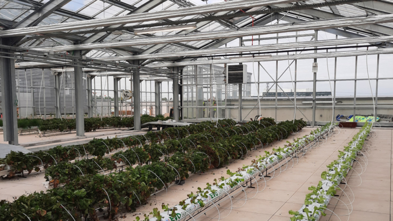 RBA & Equinix unveil rooftop farm atop Paris data centre