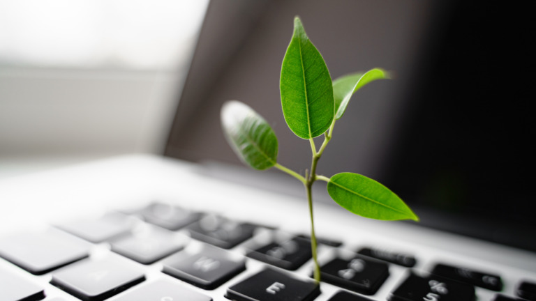 Reducing your IT carbon footprint